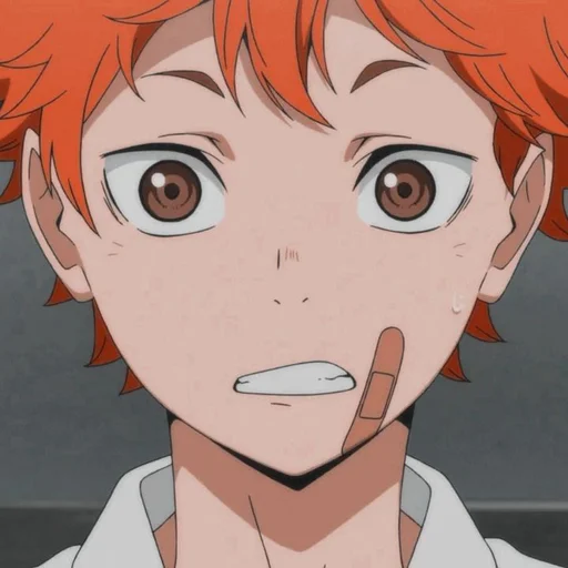 🍊 Стикер «HINATA SHOYO» для Telegram