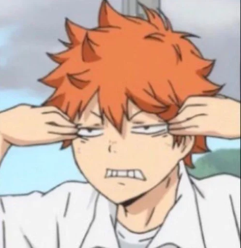 🍊 Стикер «HINATA SHOYO» для Telegram