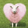 🤩 Эмодзи «Овечки» для Telegram