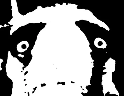 ⚫️ Стикер «shegeftangizan_m» для Telegram