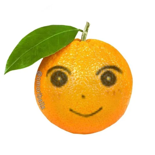 🍊 Стикер «Sheikstikers» для Telegram