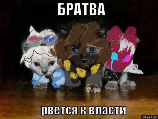 😼 Стикер «Sheikstikers» для Telegram
