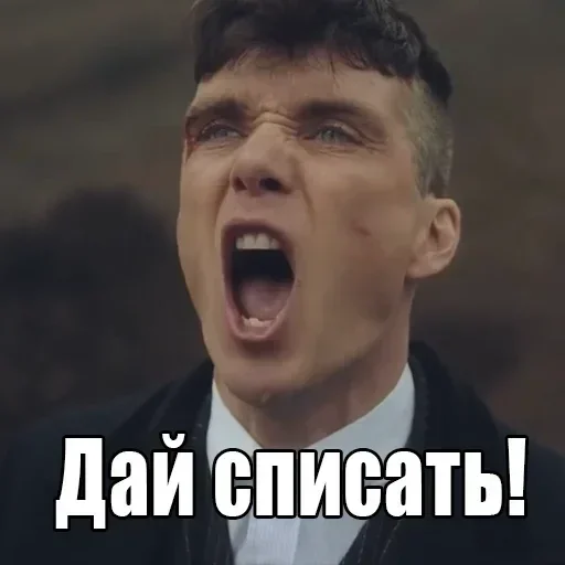✍️ Стикер «shelbu» для Telegram