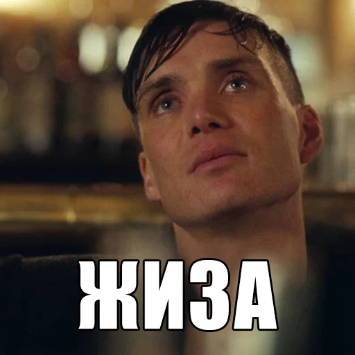🙃 Стикер «Шелби Харош» для Telegram