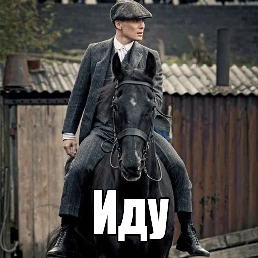 🚶‍♀️ Стикер «shel» для Telegram