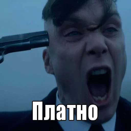 💰 Стикер «shel» для Telegram