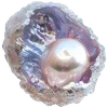 🌟 Эмодзи «Ракушки» для Telegram