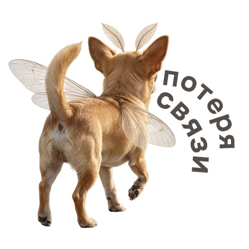 ☎️ Стикер «shenok_motylek» для Telegram
