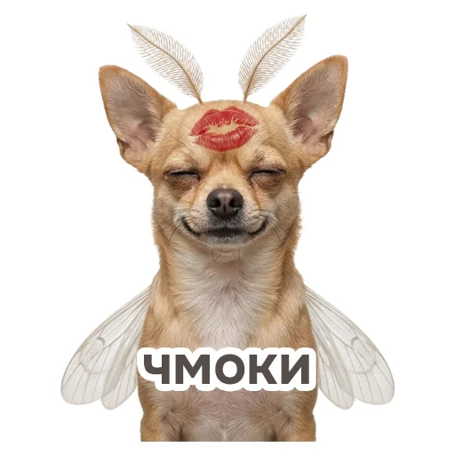 💋 Стикер «shenok_motylek» для Telegram