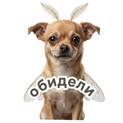 😭 Стикер «shenok_motylek» для Telegram