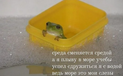 😭 Стикер «шевацитатникпак» для Telegram