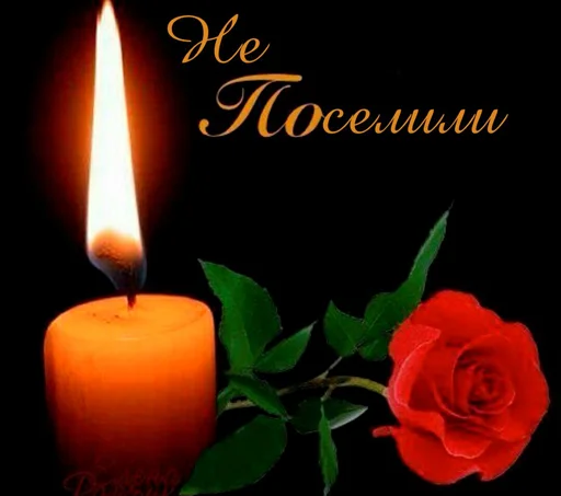 🕯 Стикер «шевацитатникпак» для Telegram