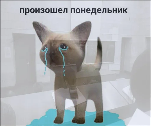 😿 Стикер «шевацитатникпак» для Telegram