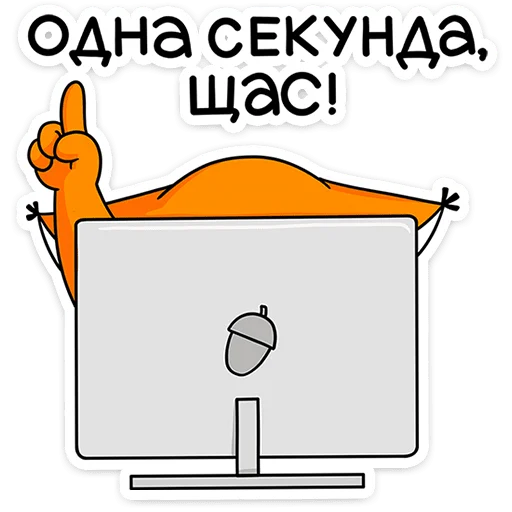 🦊 Стикер «Ши в офисе» для Telegram