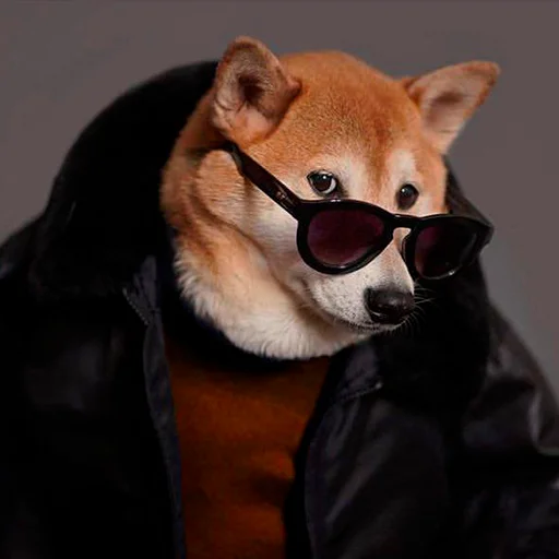😎 Стикер «Shibes» для Telegram