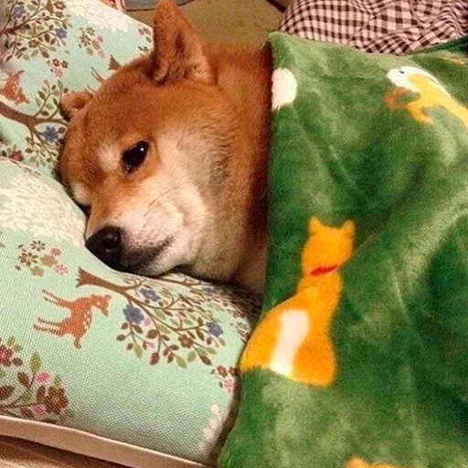 ☹️ Стикер «Shibes» для Telegram