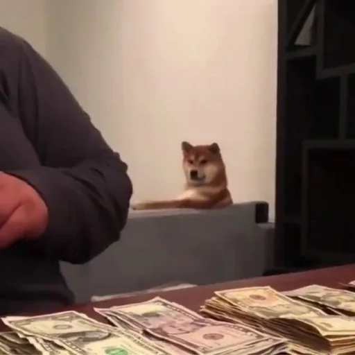 💵 Стикер «Shibes» для Telegram