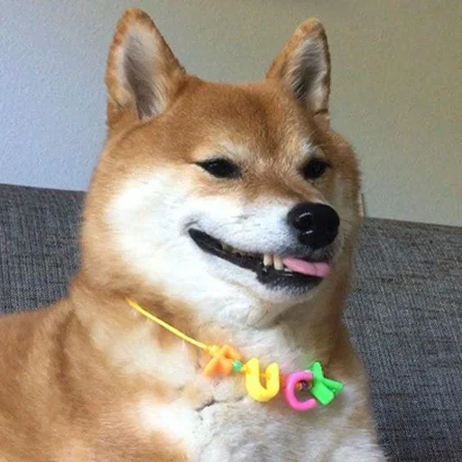 👉 Стикер «Shibes» для Telegram