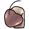 🙇 Эмодзи «Mr Shiitake Mushrooms» для Telegram