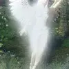 Стикер 13 shine #girl
