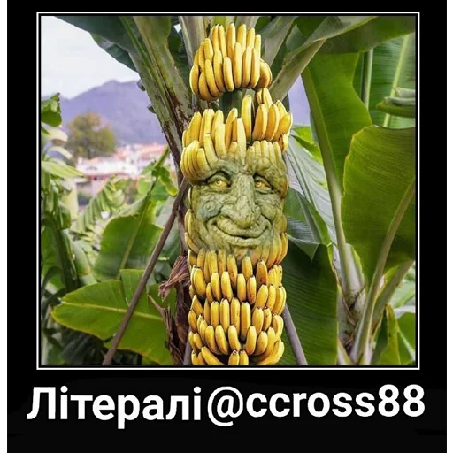 🍌 Стикер «Шизослав Дрєвоштаб» для Telegram
