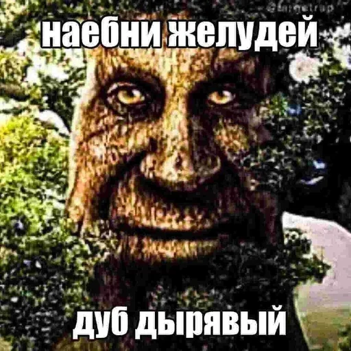 🌳 Стикер «Шизослав Дрєвоштаб» для Telegram