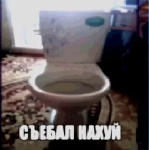 🚽 Стикер «shit memes» для Telegram