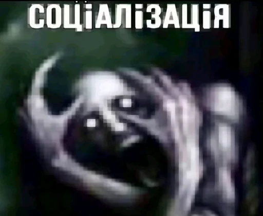 🫣 Стикер «shit memes» для Telegram