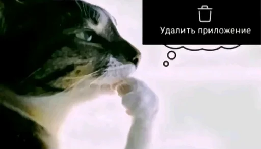 🤔 Стикер «shit memes» для Telegram