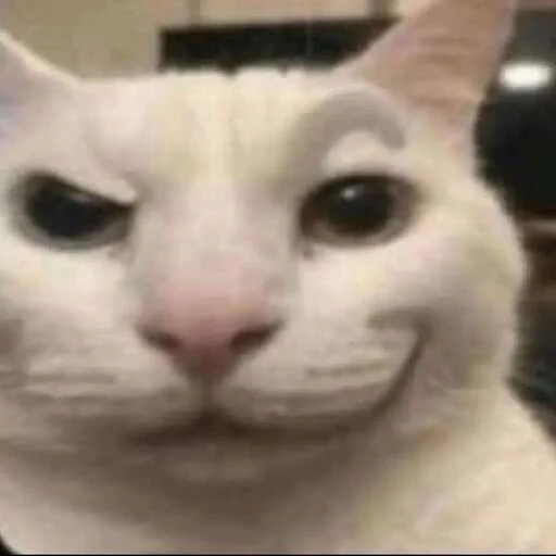 😼 Стикер «shit memes» для Telegram