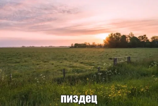 😭 Стикер «shit memes» для Telegram