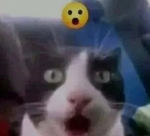 😮 Стикер «shit memes» для Telegram