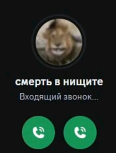 📞 Стикер «shit memes» для Telegram