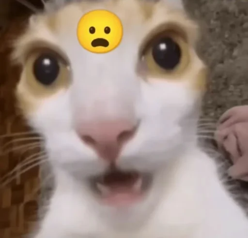 😧 Стикер «shit memes» для Telegram