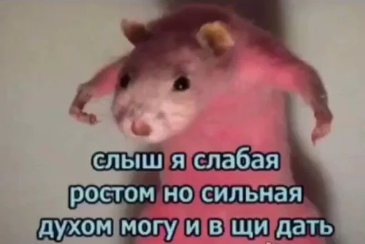🐀 Стикер «shiziky» для Telegram