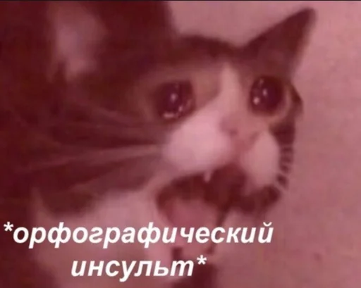 😫 Стикер «shiziky» для Telegram