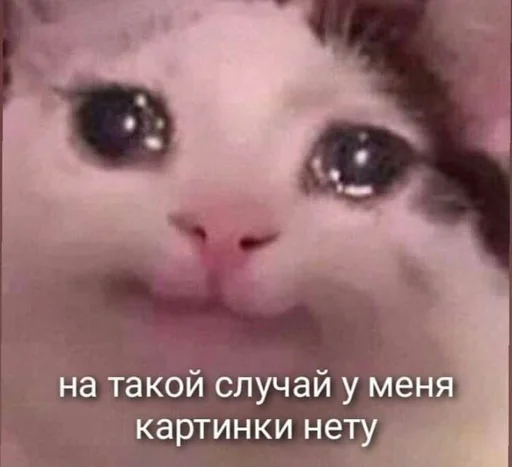 😢 Стикер «shiziky» для Telegram