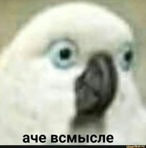 😐 Стикер «shiziky» для Telegram