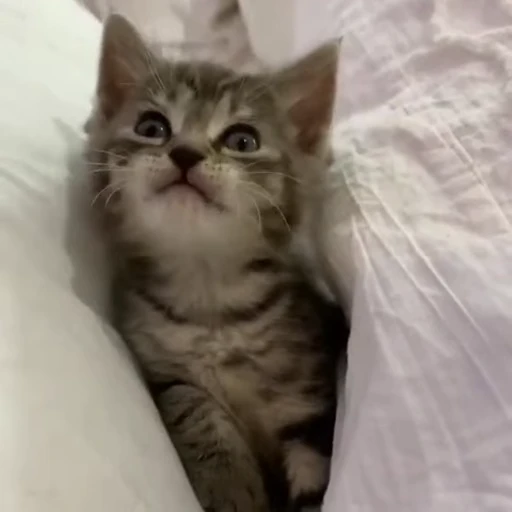 😴 Стикер «shkkkitina228» для Telegram