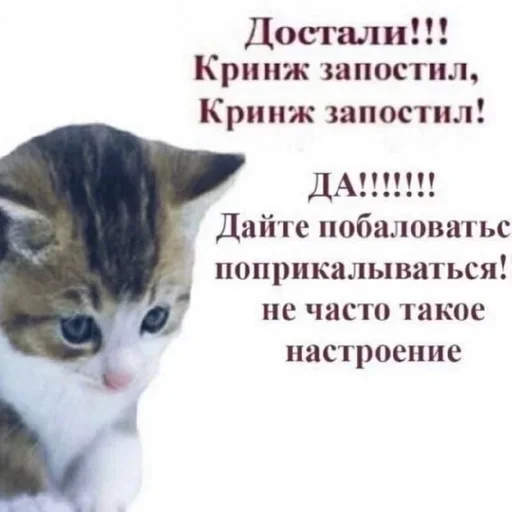 🤍 Стикер «shlrona» для Telegram