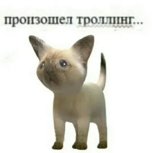 🐜 Стикер «shlrona» для Telegram