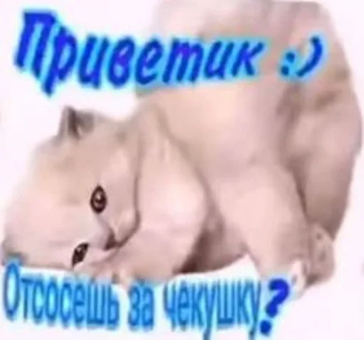 ☠️ Стикер «shlrona» для Telegram