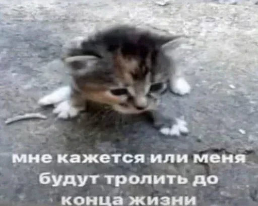 👀 Стикер «shlrona» для Telegram
