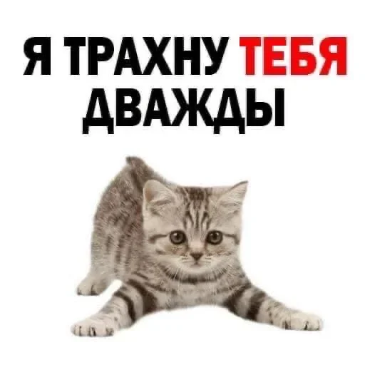 Стикерпак shlrona для Telegram