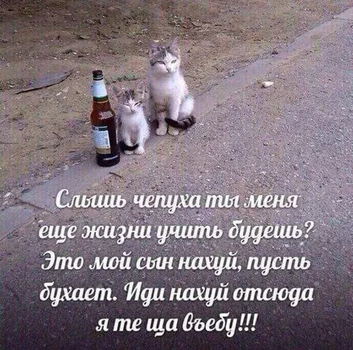 🤍 Стикер «shlrona» для Telegram