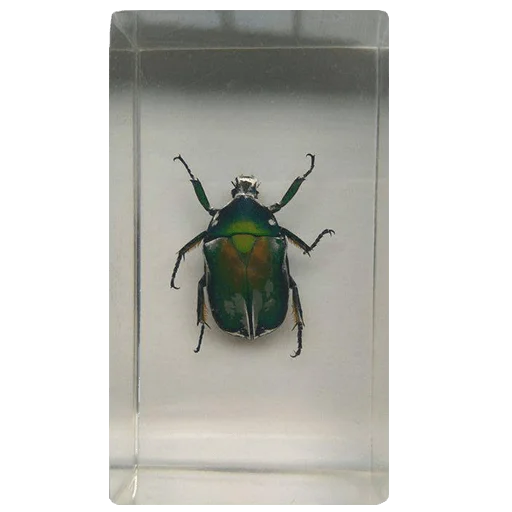 🐞 Стикер «shop.nevzorov.tv» для Telegram