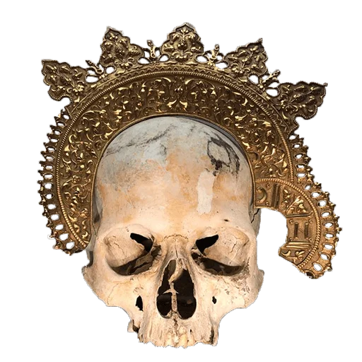 💀 Стикер «shop.nevzorov.tv» для Telegram