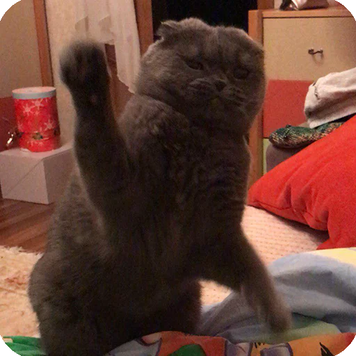 😠 Стикер «Animals?» для Telegram