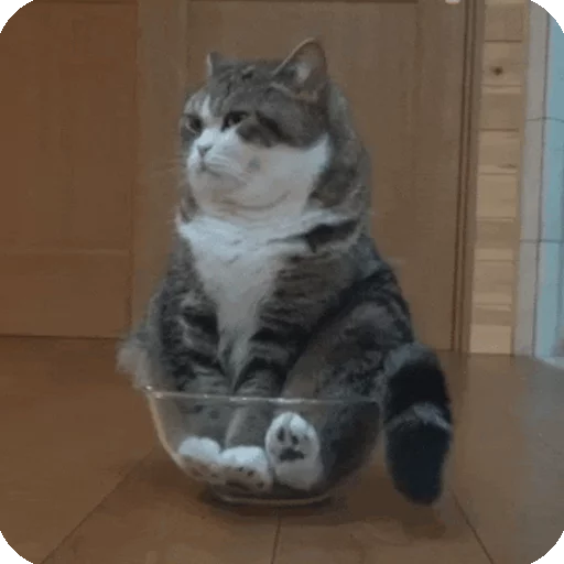 😐 Стикер «Animals?» для Telegram