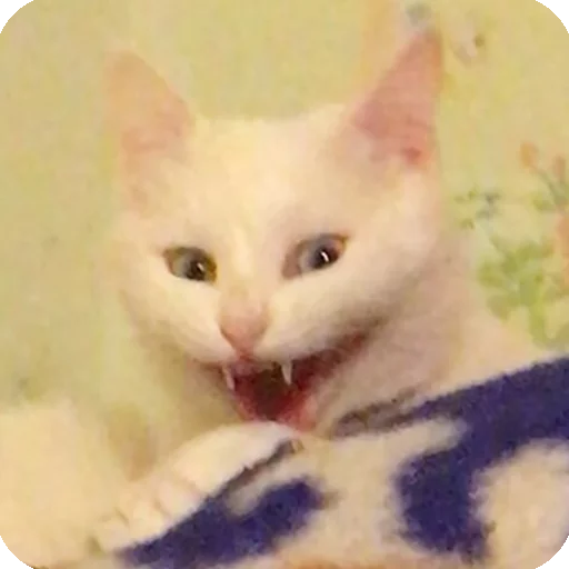 😁 Стикер «Animals?» для Telegram
